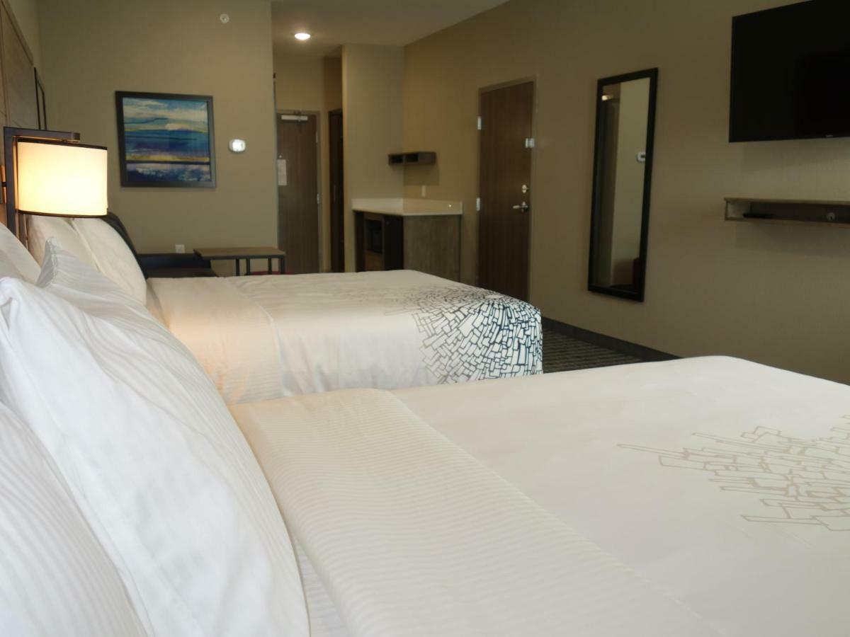 La Quinta By Wyndham San Antonio Alamo City Extérieur photo